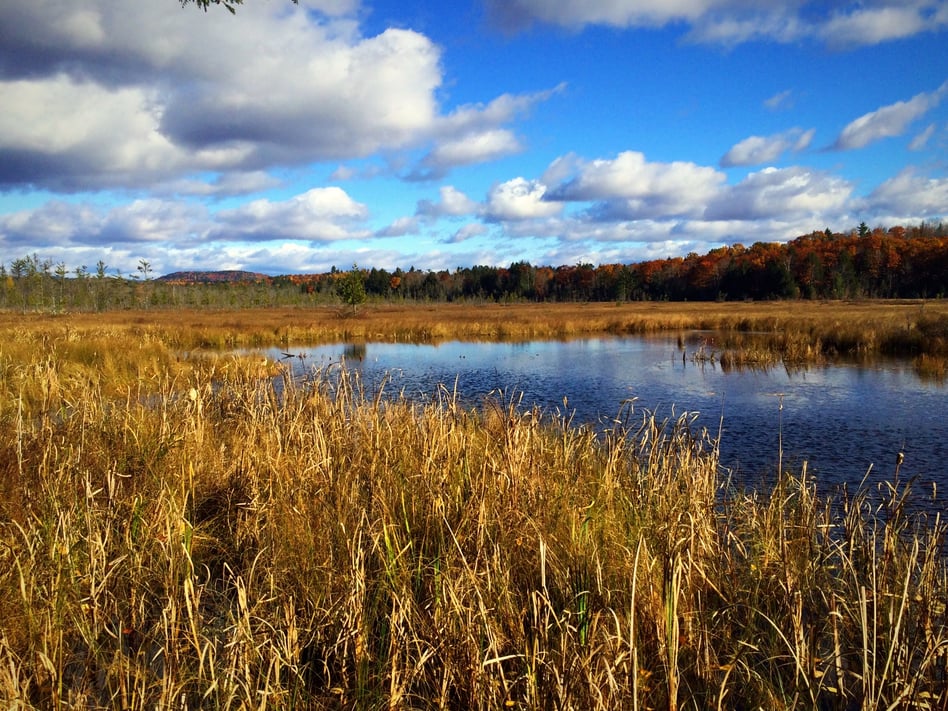 Four Must Experience Trails Near Norway Maine